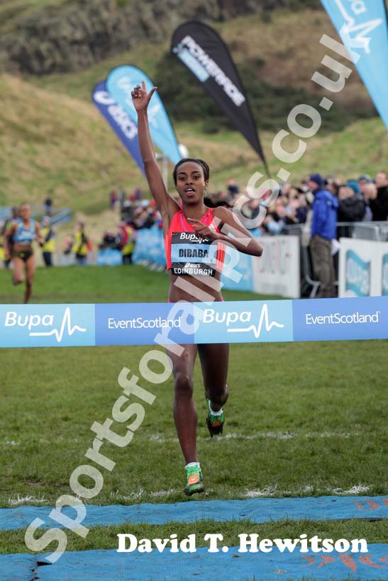 Genzebe Dibaba wins the Internation Womens 3k BUPA Great Edinburgh Cross country.